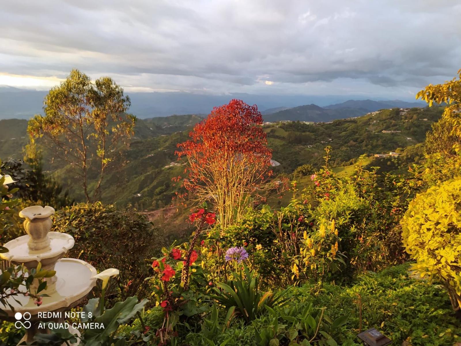 Mirador Finca Morrogacho Манісалес Екстер'єр фото